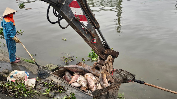 Ca chet troi tran ngap song Sat, may xuc duoc dieu truc vot-Hinh-10