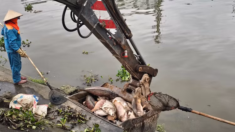 Ca chet troi tran ngap song Sat, may xuc duoc dieu truc vot-Hinh-10