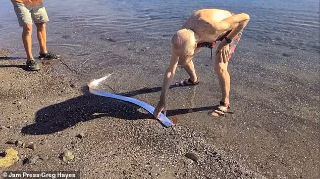 Vào ngày 10/2, người dân ở bờ biển Playa Quemada, thuộc quần đảo Canary, Tây Ban Nha phát hiện một con cá mái chèo trôi dạt vào bờ. Điều này khiến một số người lo lắng sắp xảy ra sự kiện tồi tệ bởi "quái ngư" này được cho là điềm báo của thảm họa mỗi lần xuất hiện. Ảnh: Jam Press/Greg Hayes.