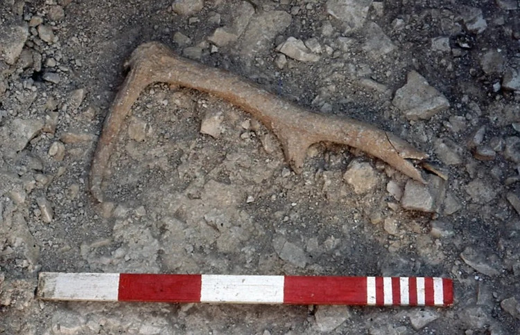 Nong: Phat hien moi chan dong ca the gioi ve bai da co Stonehenge-Hinh-2