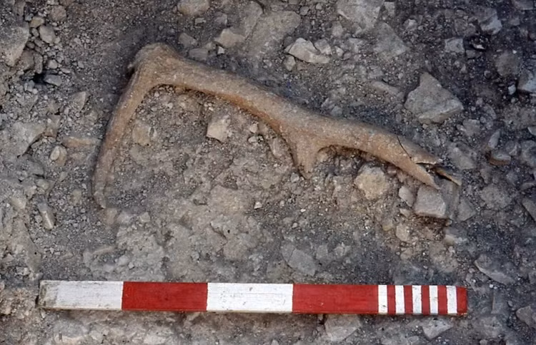 Nong: Phat hien moi chan dong ca the gioi ve bai da co Stonehenge-Hinh-2