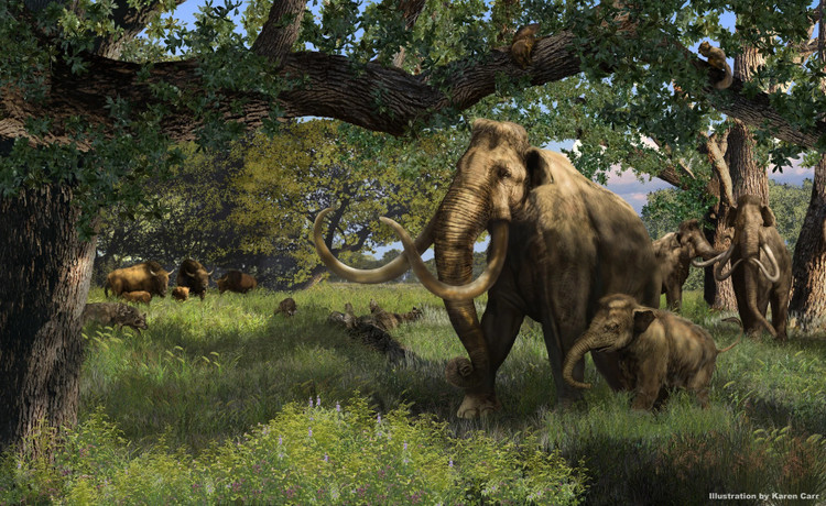 Di san huou, bat ngo dung trung nga voi ma mut dang gia ngan vang-Hinh-6