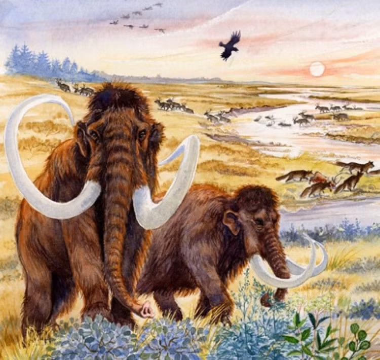 Giat minh ly do voi ma mut bien mat hoan toan tren Trai dat