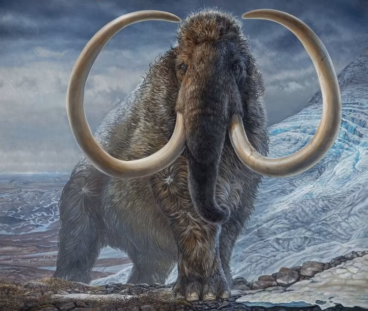 Giat minh ly do voi ma mut bien mat hoan toan tren Trai dat-Hinh-9