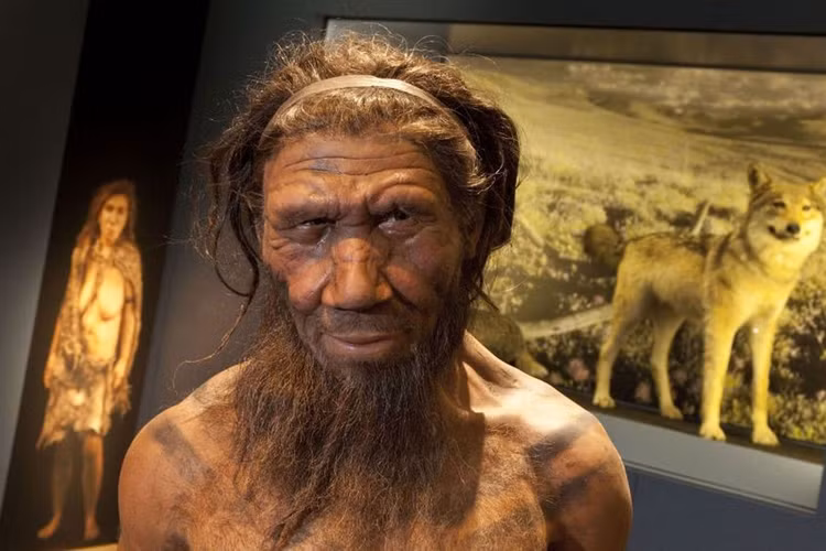 Tim thay bang chung nguoi Neanderthal giao phoi voi nguoi hien dai-Hinh-5