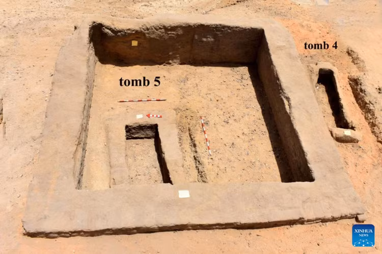 Hai cot deo nhan vang khac ten pharaoh Ai Cap, lai lich gay soc-Hinh-7