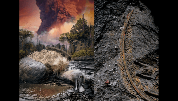 Long ken ken hoa thach he mo bi mat kho ngo-Hinh-5