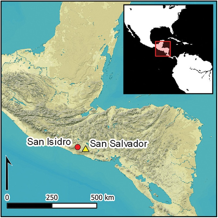 &quot;Một trong những đặc điểm nổi bật nhất của 5 bức tượng là biểu cảm gương mặt đầy thú vị, thay đổi tùy vào góc nhìn của chúng ta&quot;, tác giả chính của nghiên cứu Jan Szymański - nhà khảo cổ học tại Đại học Warsaw, cho biết. Ảnh: J. Przedwojewska-SzymaÅska/PASI; Antiquity Publications Ltd.