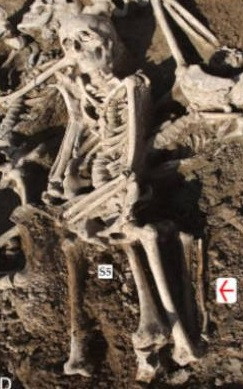 Su that rung ron ngoi mo tap the o Van Ly Truong Thanh-Hinh-4