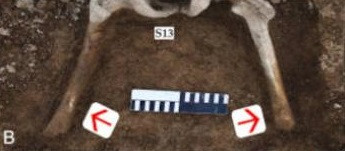 Su that rung ron ngoi mo tap the o Van Ly Truong Thanh-Hinh-2