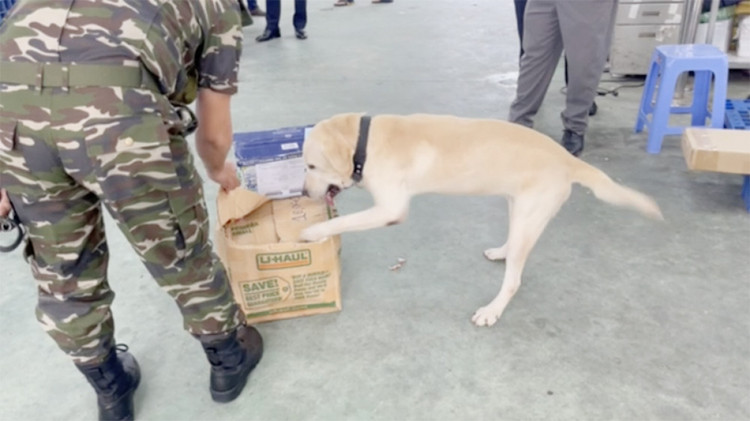 4 nu tiep vien va loat vu van chuyen ma tuy qua duong hang khong-Hinh-10