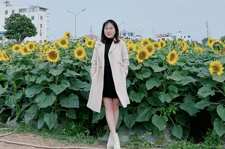 Can canh vuon hoa huong duong o Hai Duong no ro...van nguoi me-Hinh-11