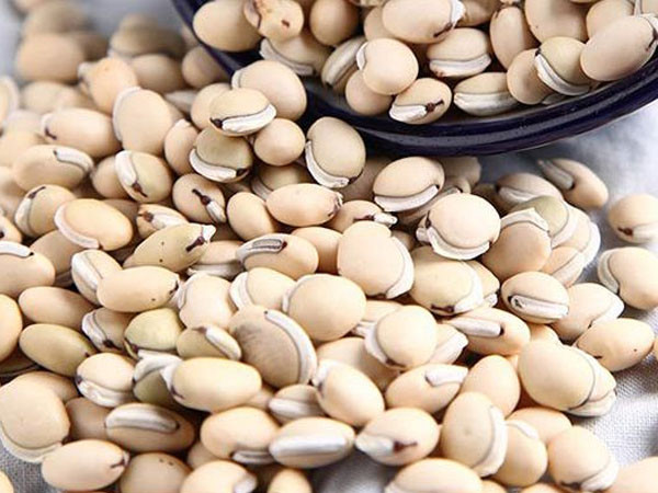 Đầu mùa thu, thêm thứ này vào cháo bệnh tật sẽ tránh xa - Hình 2 Ảnh minh họa.