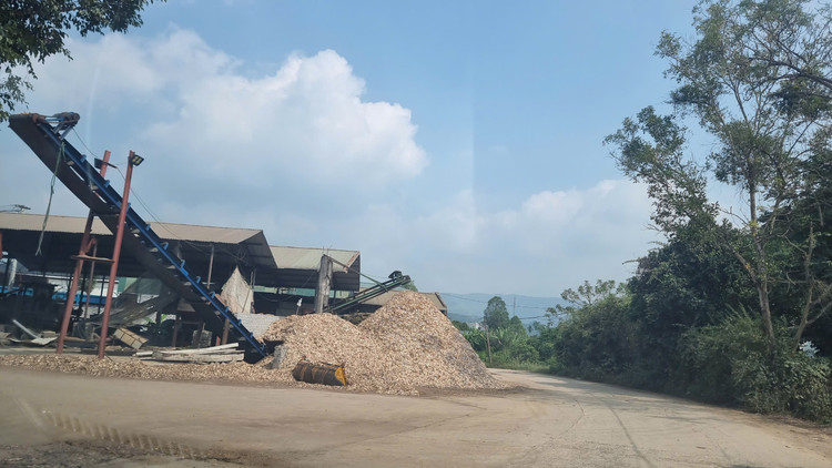 Dien luc Hoa Binh noi gi ve viec chua cat dien xuong dam go trai phep?