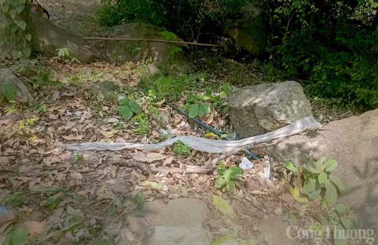 Tan muc bo da ran khong lo moi phat hien tren nui Cam-Hinh-2