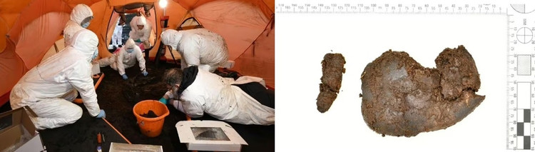 Thay hai cot 2.500 tuoi trong dam lay, chuyen gia sung sot vi...-Hinh-3