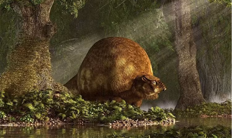 Di dao vo tinh phat hien “qua trung” khong lo, ngo ngang su that-Hinh-5