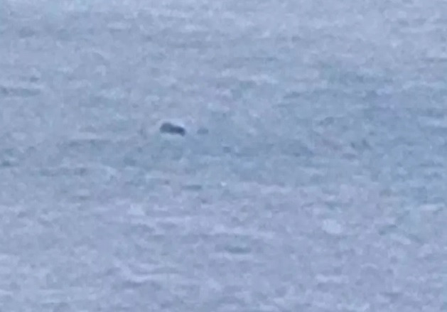 9 lan quai vat ho Loch Ness xuat hien chan dong ca the gioi-Hinh-3