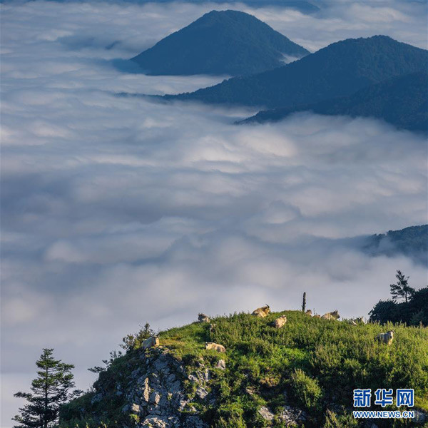 Bí ẩn vùng đất “long mạch” nhất Trung Quốc, đế vương thi nhau hội tụ - Hình 7 Bi an vung dat “long mach” nhat Trung Quoc, de vuong thi nhau hoi tu-Hinh-7