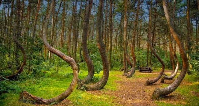 Nhung vung dat bi an nhat hanh tinh, khoa hoc dau dau tim loi giai-Hinh-4