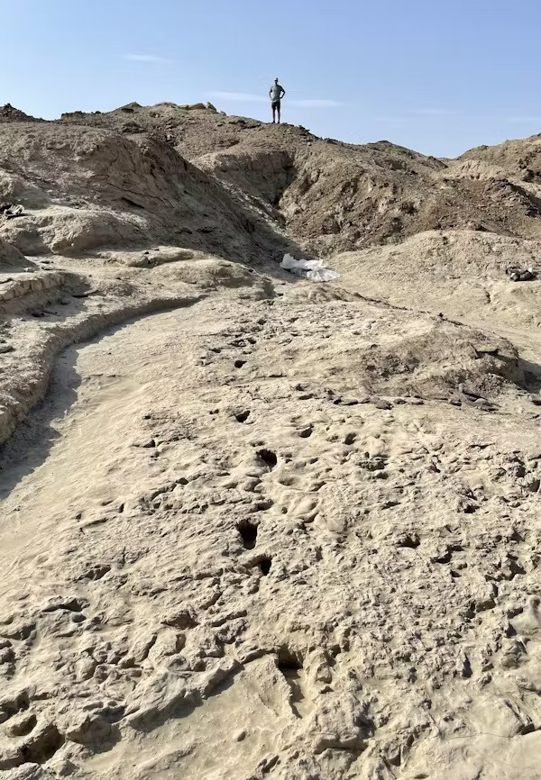 Dau chan 1,5 trieu tuoi he lo bi mat to tien loai nguoi-Hinh-10