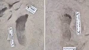 Dấu chân 1,5 triệu tuổi hé lộ bí mật tổ tiên loài người - Hình 5 Dau chan 1,5 trieu tuoi he lo bi mat to tien loai nguoi-Hinh-5