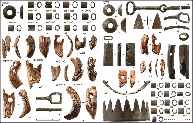 Phat hien xac ngua trong khu mo 2.800 tuoi, lai lich gay soc-Hinh-6