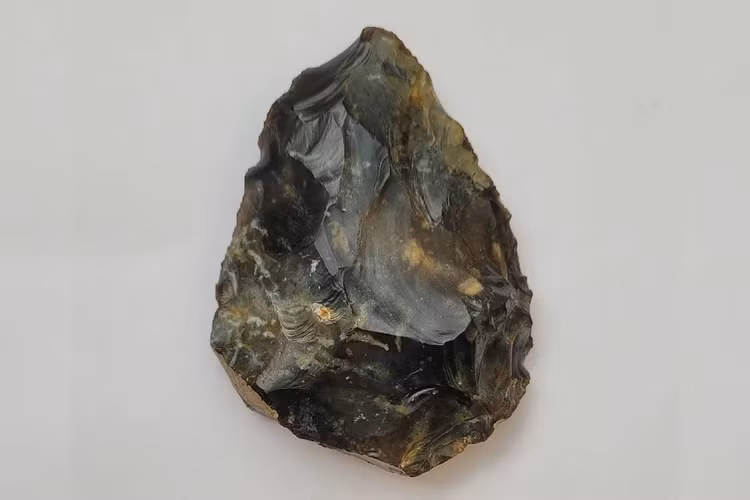 Vap trung tang da la, ai ngo la vat bau 50.000 tuoi-Hinh-3