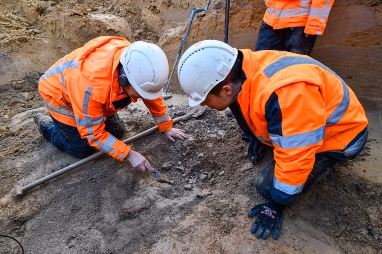 Mo mo co 2.000 tuoi choang vang danh tinh chu nhan-Hinh-3