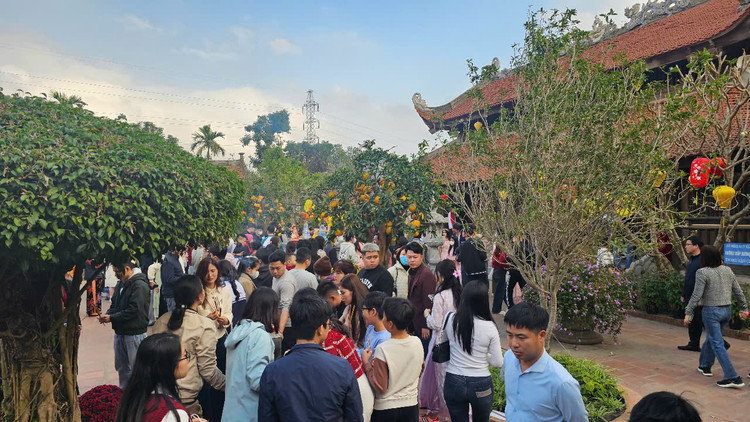 Hai Duong: Giai ma den tho danh y Tue Tinh hut khach dau xuan-Hinh-4