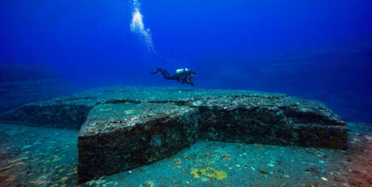 Phat hien kien truc la duoi bien, chuyen gia phan cau chan dong ca TG-Hinh-6