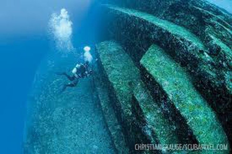 Phat hien kien truc la duoi bien, chuyen gia phan cau chan dong ca TG-Hinh-5