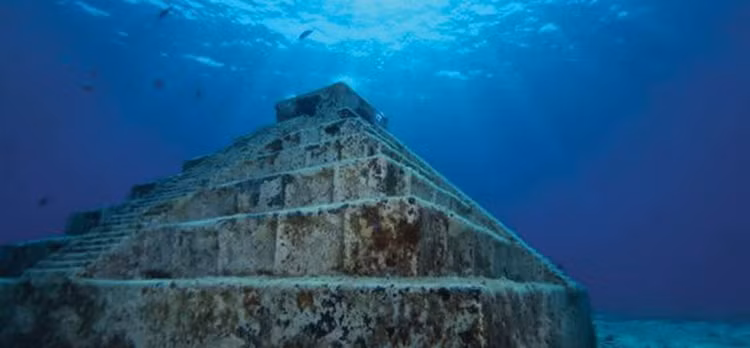 Phat hien kien truc la duoi bien, chuyen gia phan cau chan dong ca TG-Hinh-2