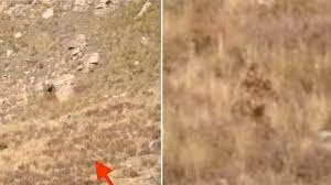 Ngoi tau ngam canh, cap doi “va mo hoi” trong thay quai vat khong lo?-Hinh-4