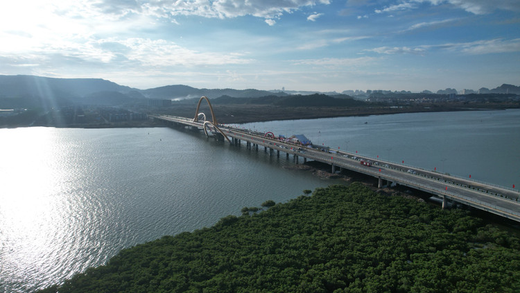Chiem nguong cay cau 1.700 ty noi doi bo vinh Cua Luc Quang Ninh-Hinh-5