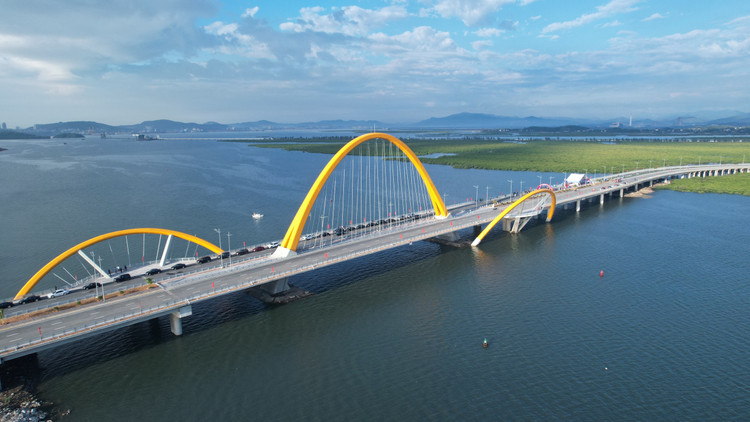 Chiem nguong cay cau 1.700 ty noi doi bo vinh Cua Luc Quang Ninh-Hinh-10