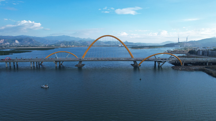 Chiem nguong cay cau 1.700 ty noi doi bo vinh Cua Luc Quang Ninh-Hinh-11