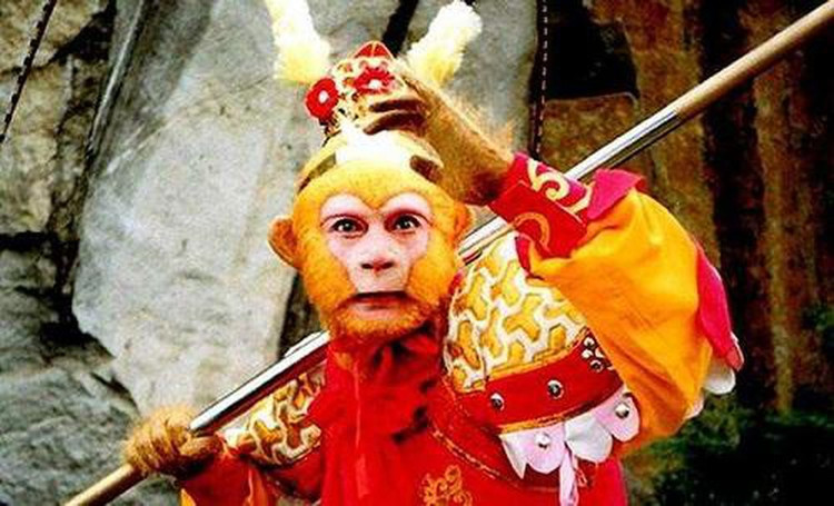 Bao boi khac che gay Nhu Y cua Ton Ngo Khong-Hinh-10