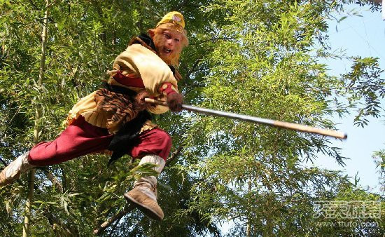 Bao boi khac che gay Nhu Y cua Ton Ngo Khong-Hinh-5