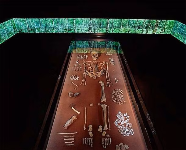 Bat nap quan tai 9.000 tuoi, choang vang lai lich chu nhan-Hinh-8