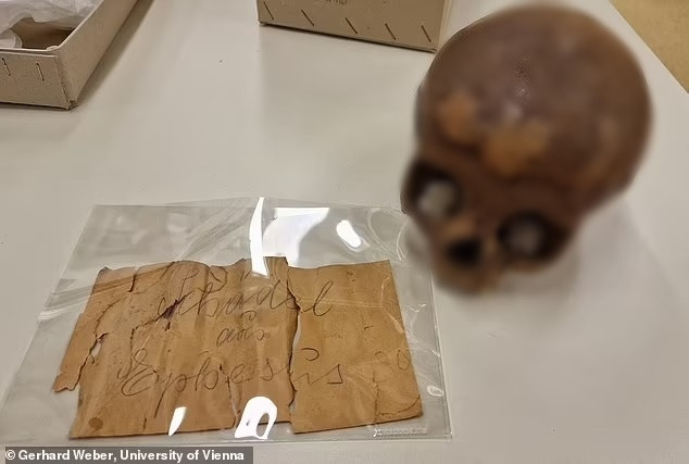 Tiết lộ gây sốc về hộp sọ nghi của chị gái Nữ hoàng Cleopatra - Hình 8 Tiet lo gay soc ve hop so nghi cua chi gai Nu hoang Cleopatra-Hinh-8