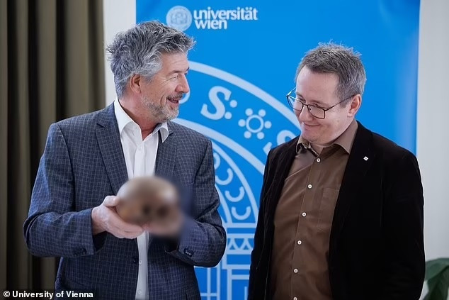 Tiết lộ gây sốc về hộp sọ nghi của chị gái Nữ hoàng Cleopatra - Hình 5 Tiet lo gay soc ve hop so nghi cua chi gai Nu hoang Cleopatra-Hinh-5