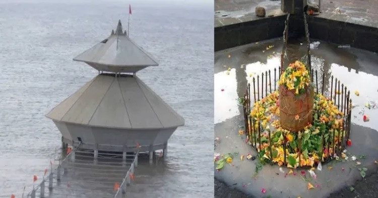 Doc dao ngoi den co tren bien moi ngay “luc chim luc noi”-Hinh-4