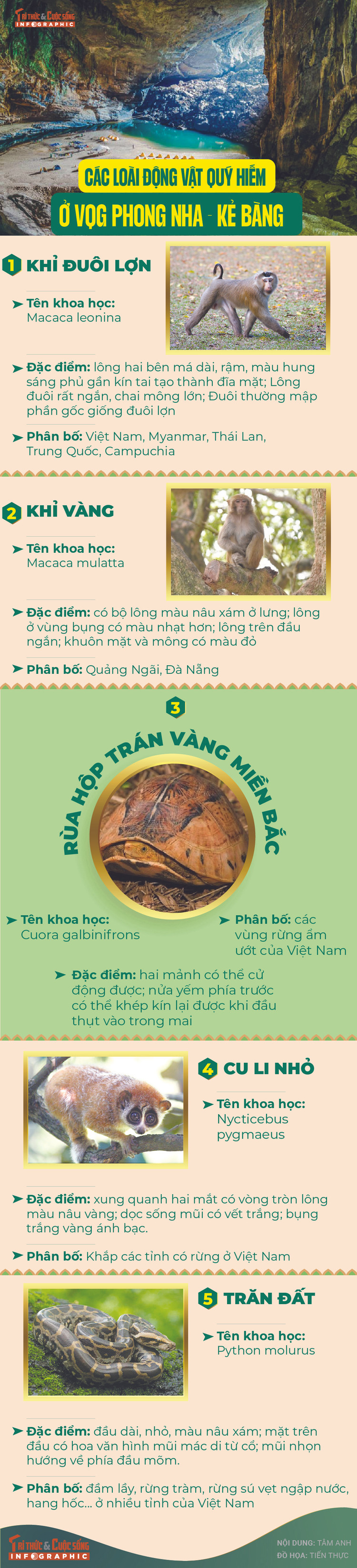 [INFOGRAPHIC] Cac loai dong vat quy hiem o VQG Phong Nha - Ke Bang