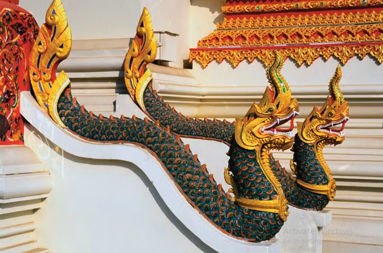 Giai ma thu vi ve linh vat ran o cac nuoc-Hinh-2