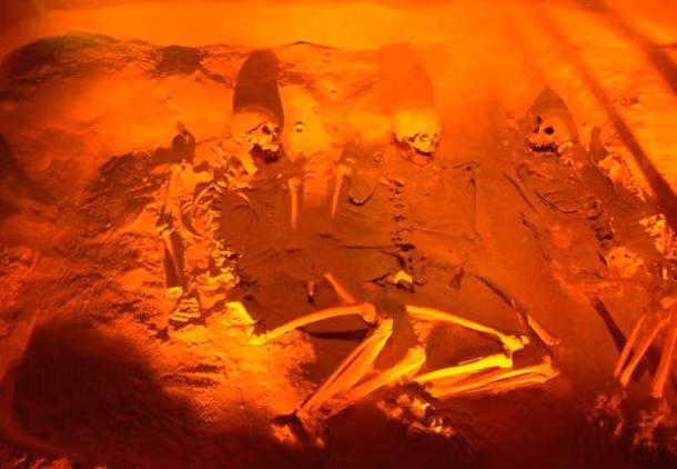 Le hien te dong vat thoi xua he lo su that giat minh-Hinh-5