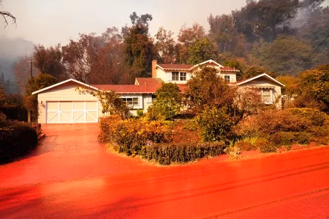 Giai ma bot chua chay mau hong duoc dung de doi pho chay rung-Hinh-2