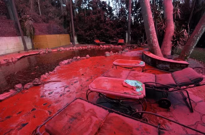 Giai ma bot chua chay mau hong duoc dung de doi pho chay rung-Hinh-3