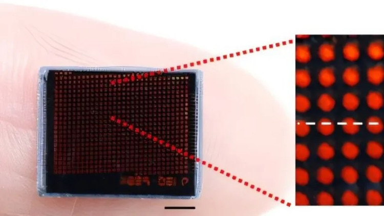 Camera mô phỏng mắt kép của côn trùng chụp ảnh siêu nét Camera mo phong mat kep cua con trung chup anh sieu net