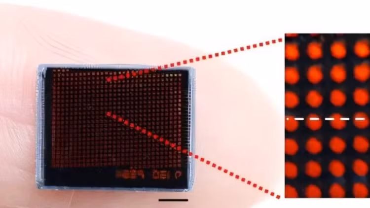 Camera mo phong mat kep cua con trung chup anh sieu net